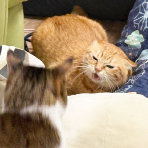 プライベート画像