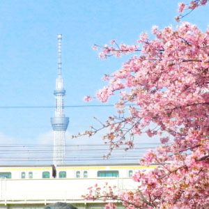 プライベート画像