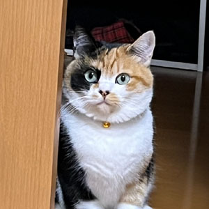 プライベート画像